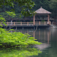 鼎湖山