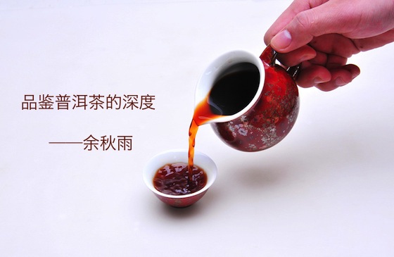 余秋雨：品鉴普洱茶