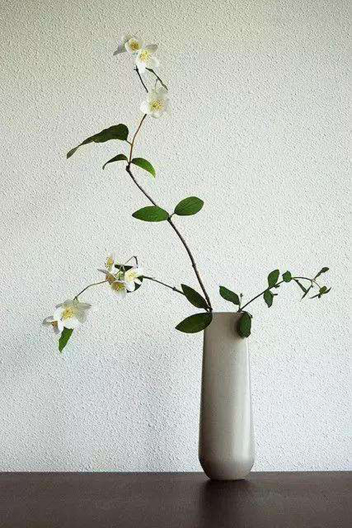 花事共赏:东方禅意——插花艺术之美